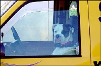 Superior Music's new driver "Prince"